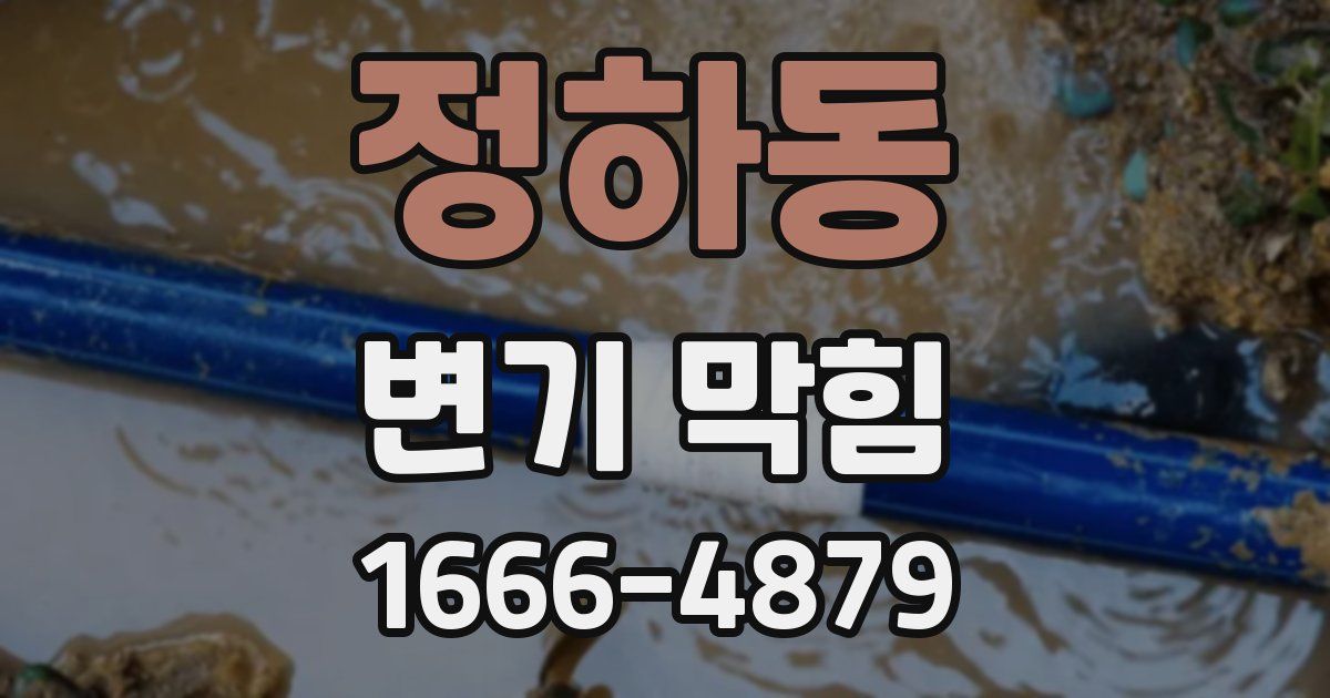 정하동 변기 막힘