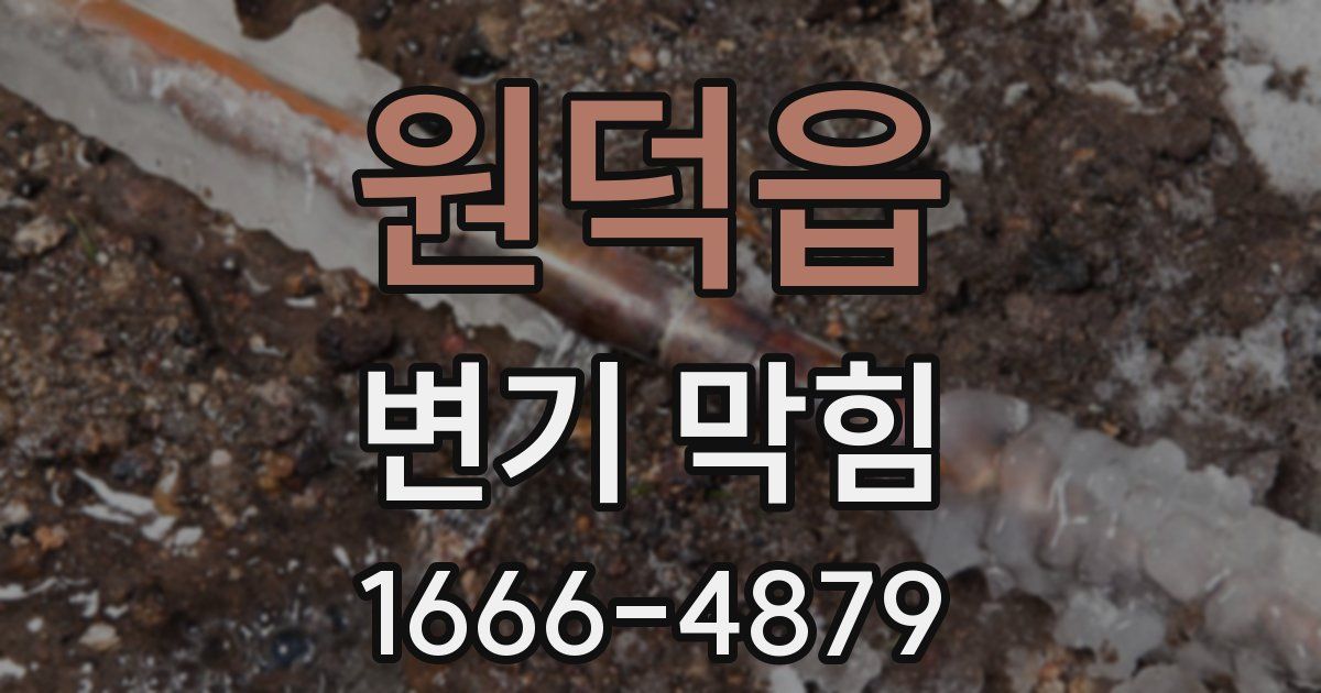 원덕읍 변기 막힘