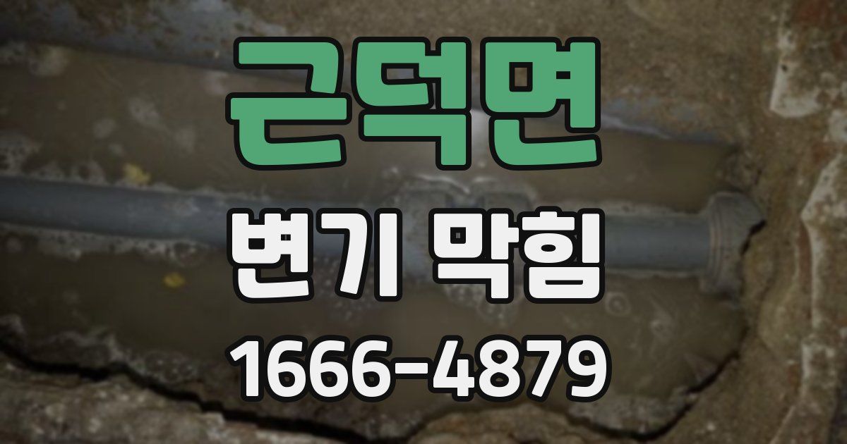 근덕면 변기 막힘