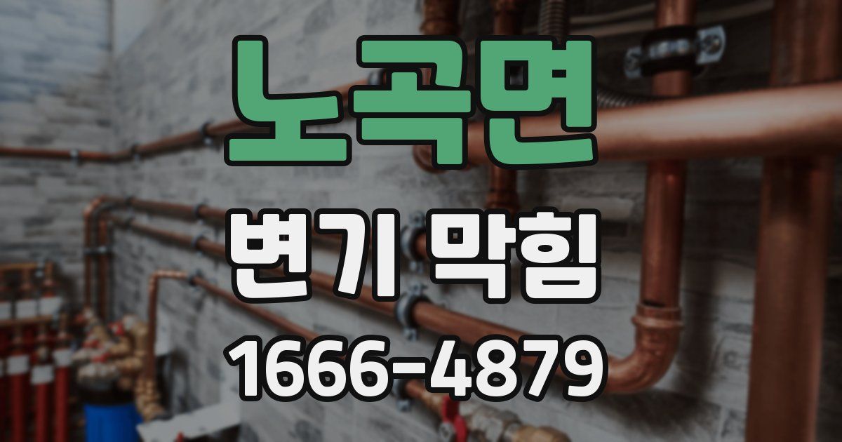 노곡면 변기 막힘