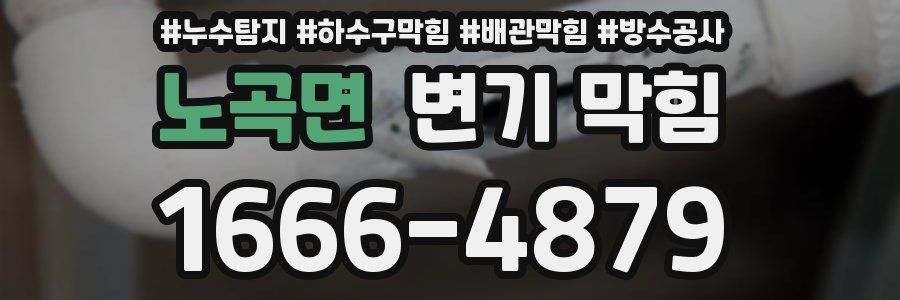 노곡면 변기 막힘