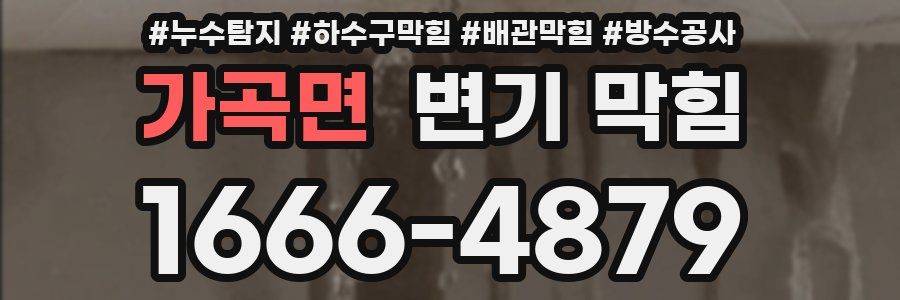 가곡면 변기 막힘