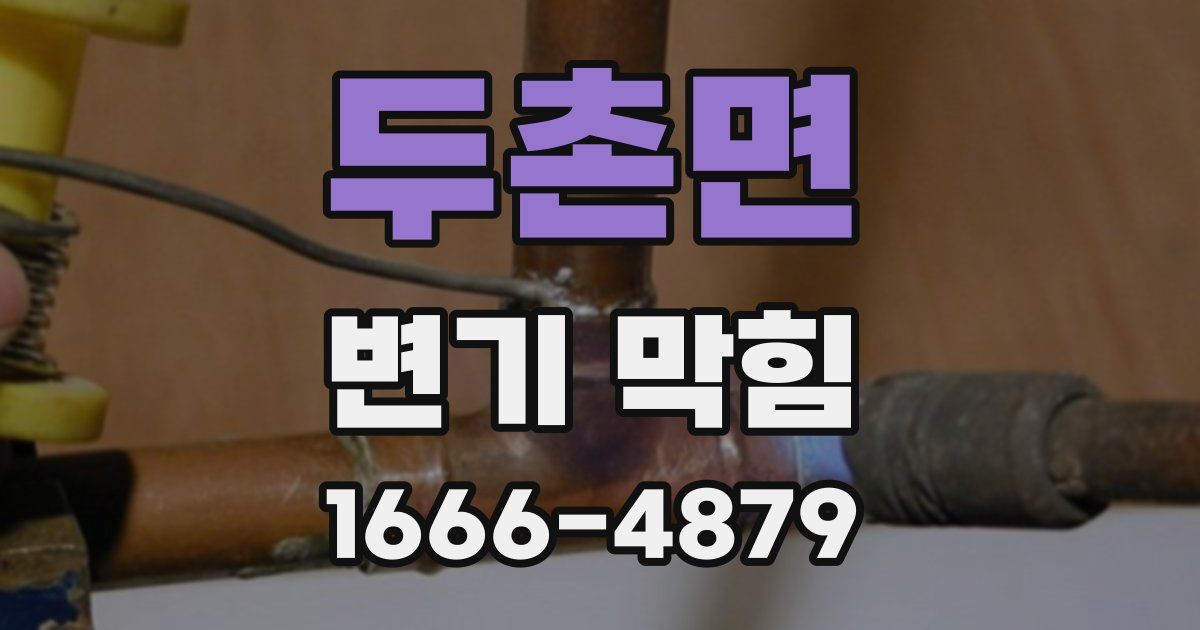 두촌면 변기 막힘