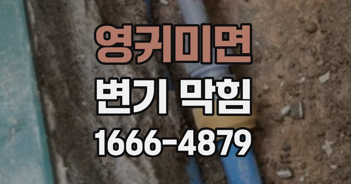 영귀미면 변기 막힘