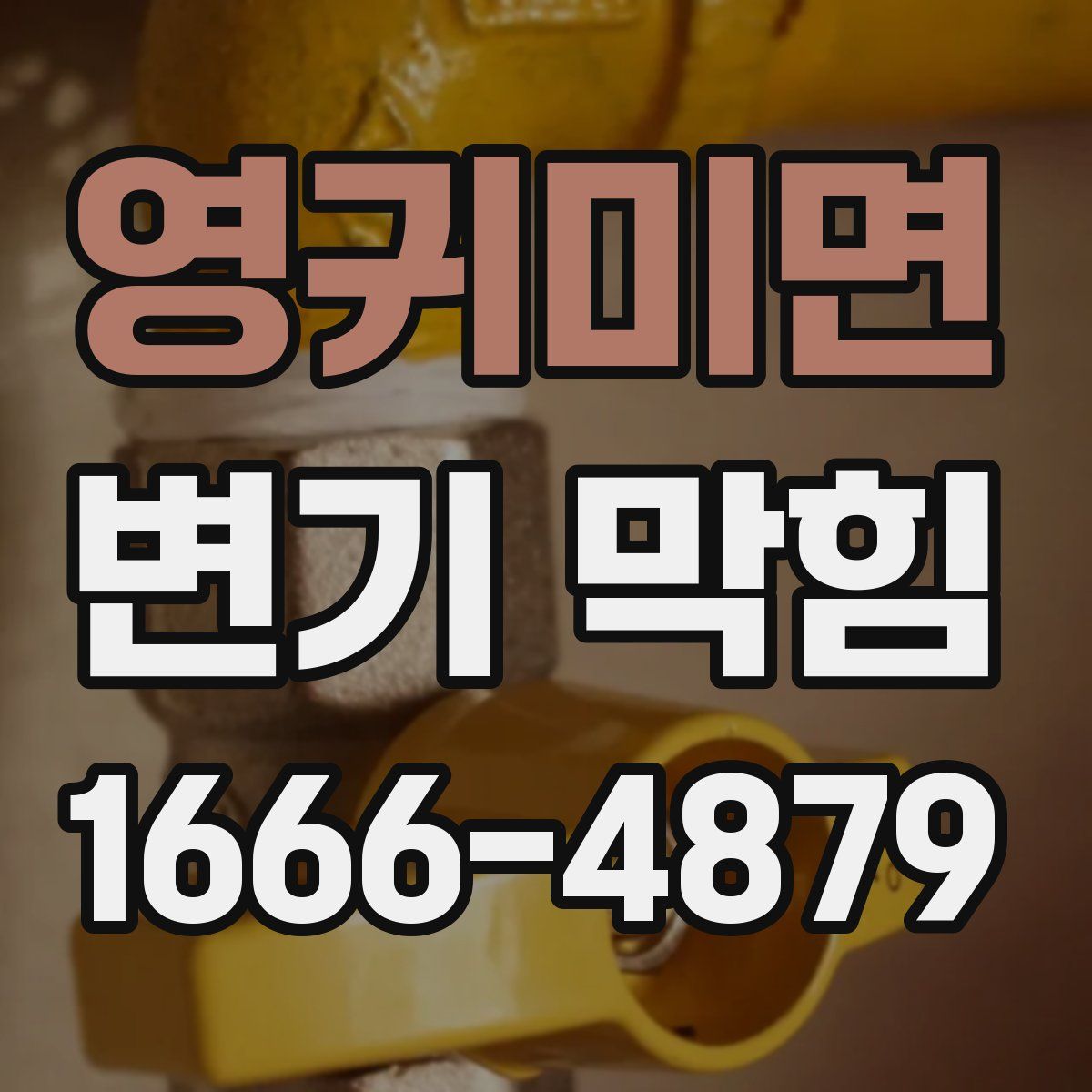 영귀미면 변기 막힘