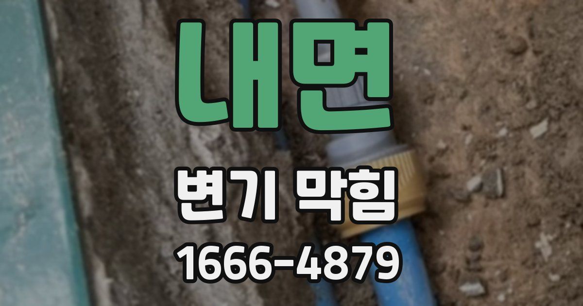 내면 변기 막힘