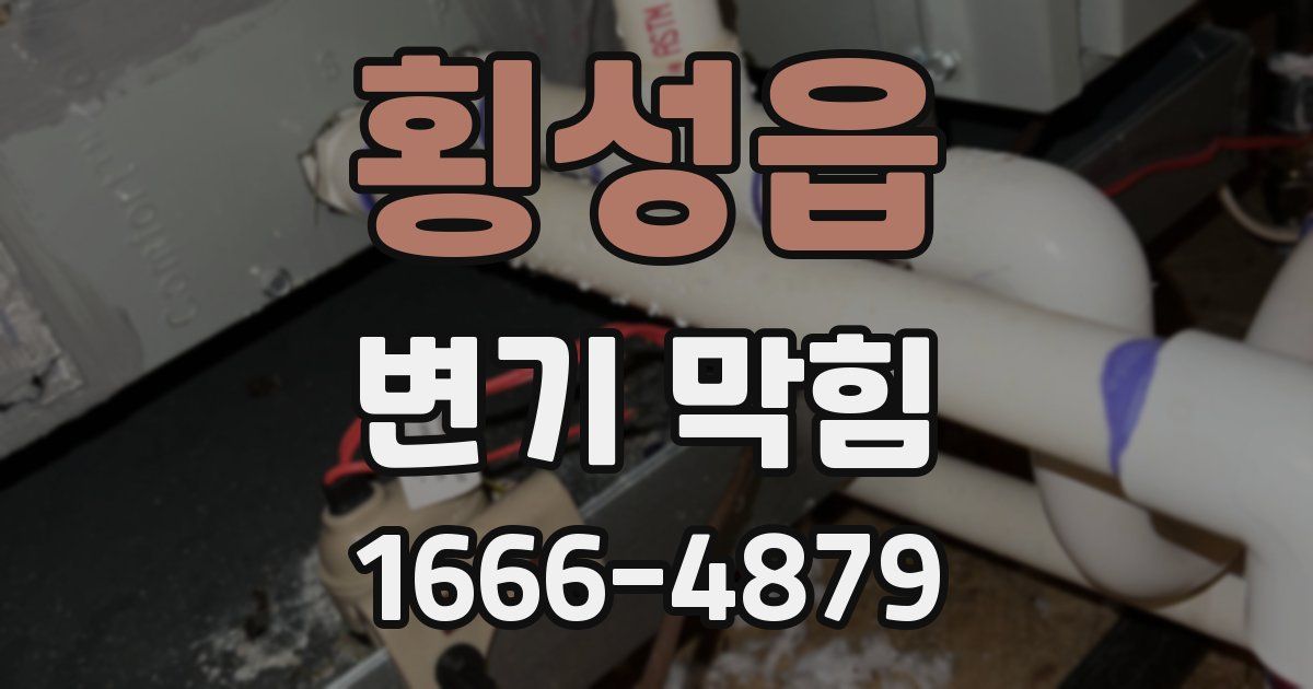 횡성읍 변기 막힘