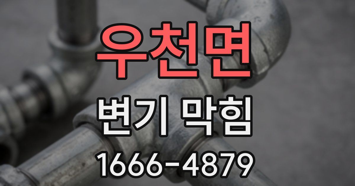 우천면 변기 막힘