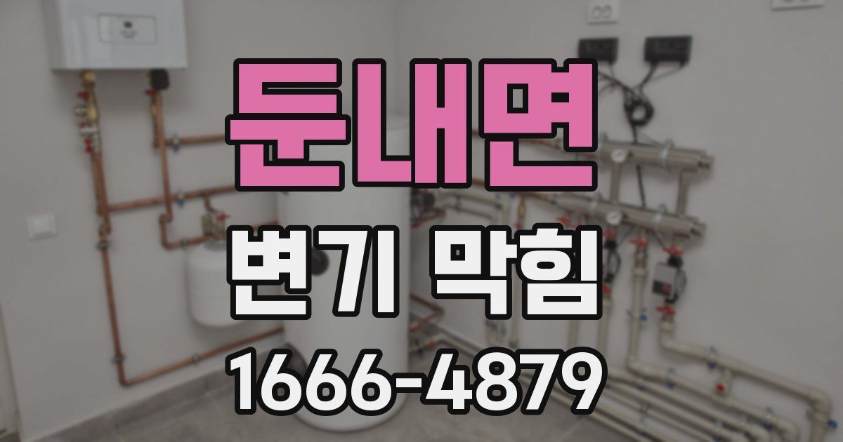 둔내면 변기 막힘