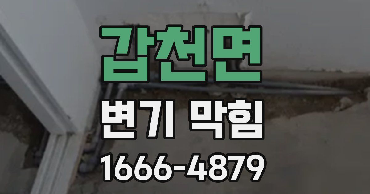갑천면 변기 막힘
