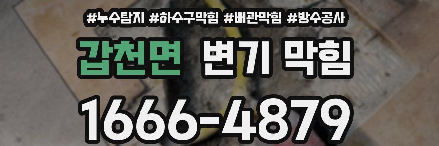 갑천면 변기 막힘