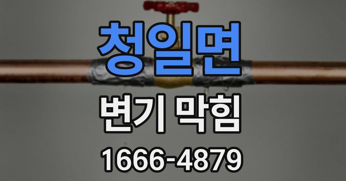 청일면 변기 막힘