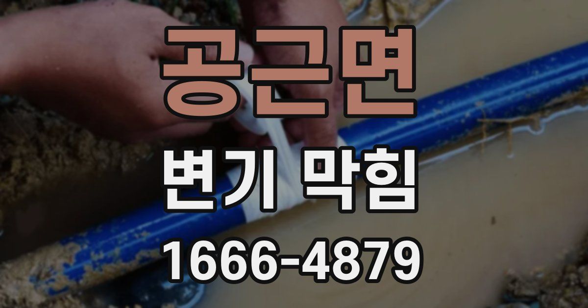 공근면 변기 막힘