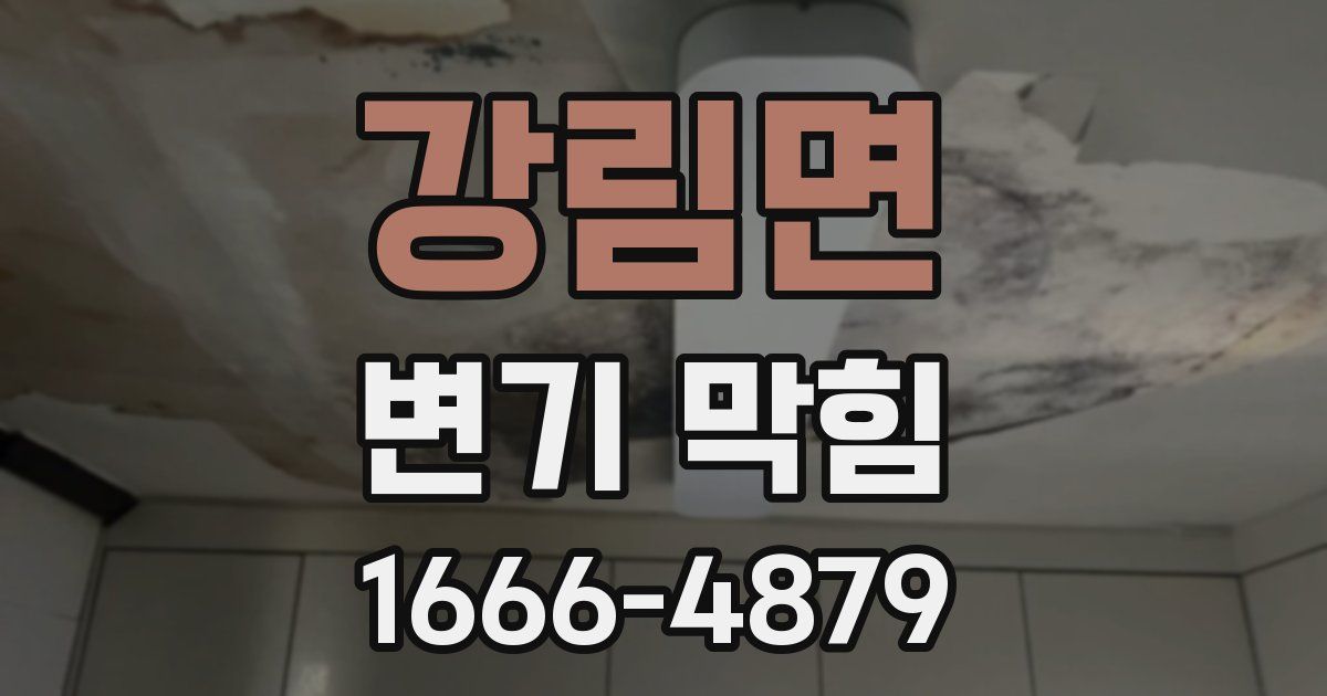 강림면 변기 막힘