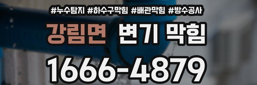 강림면 변기 막힘