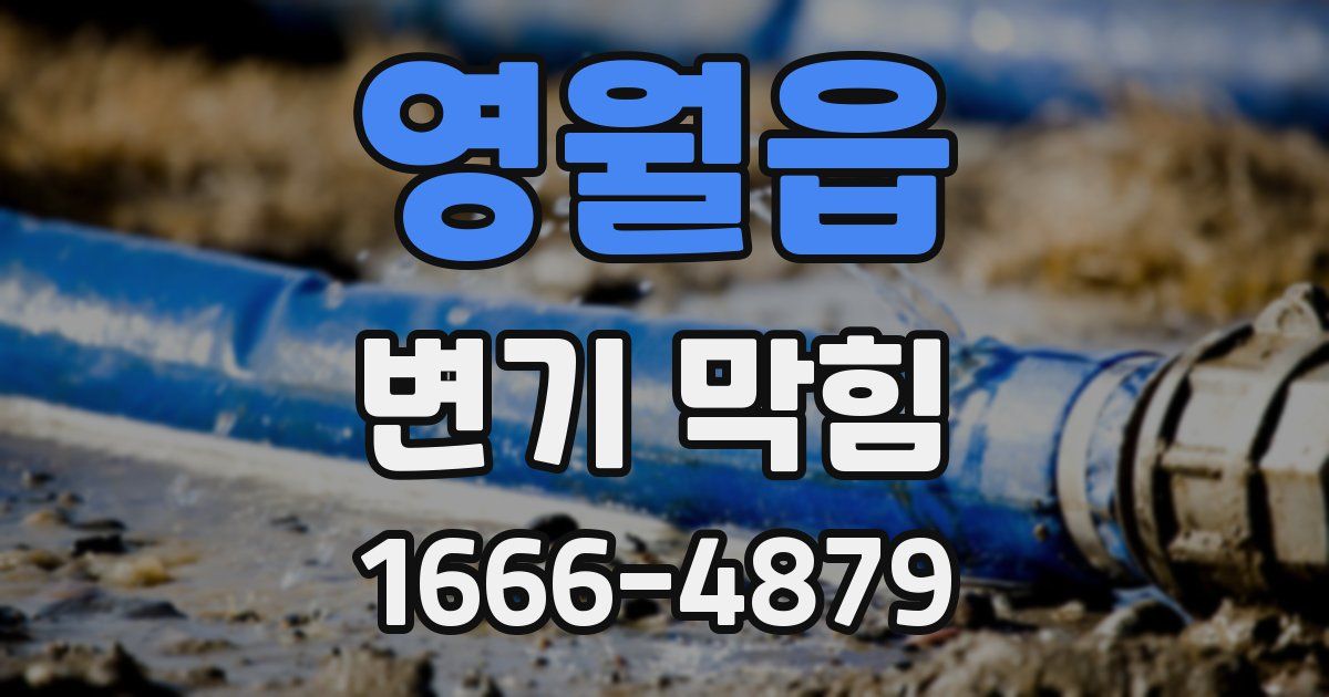 영월읍 변기 막힘