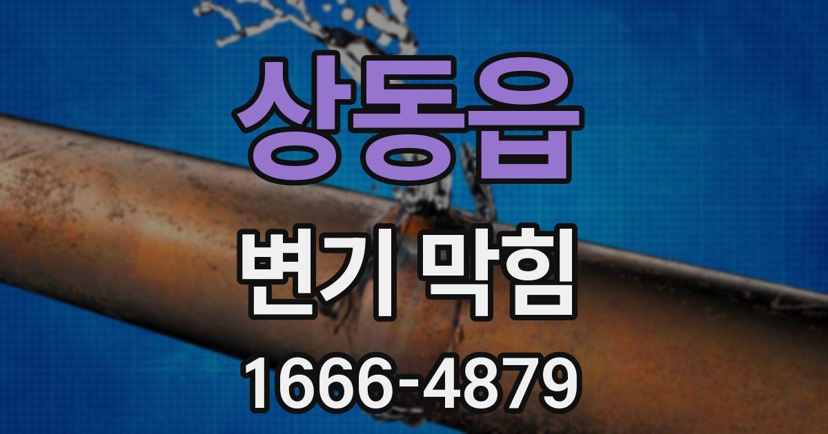 상동읍 변기 막힘