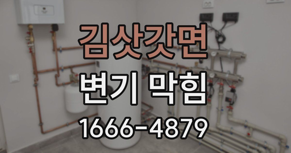 김삿갓면 변기 막힘