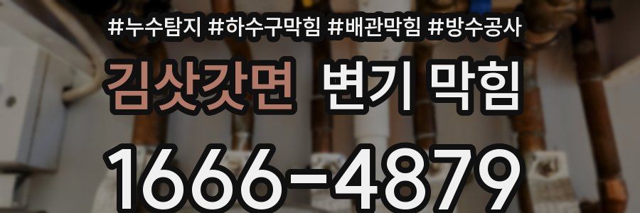 김삿갓면 변기 막힘