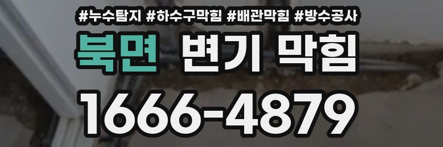 북면 변기 막힘