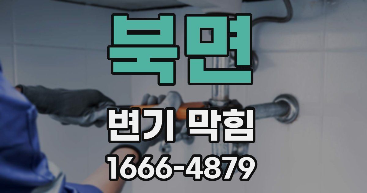 북면 변기 막힘