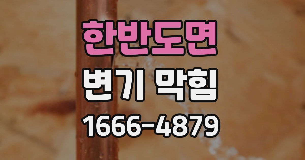 한반도면 변기 막힘