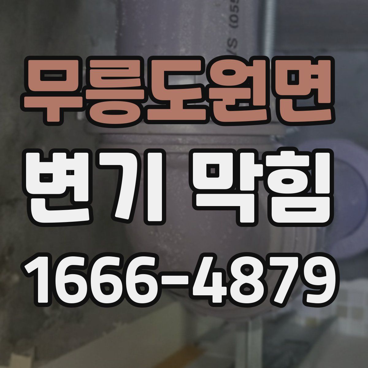 무릉도원면 변기 막힘