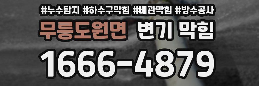 무릉도원면 변기 막힘