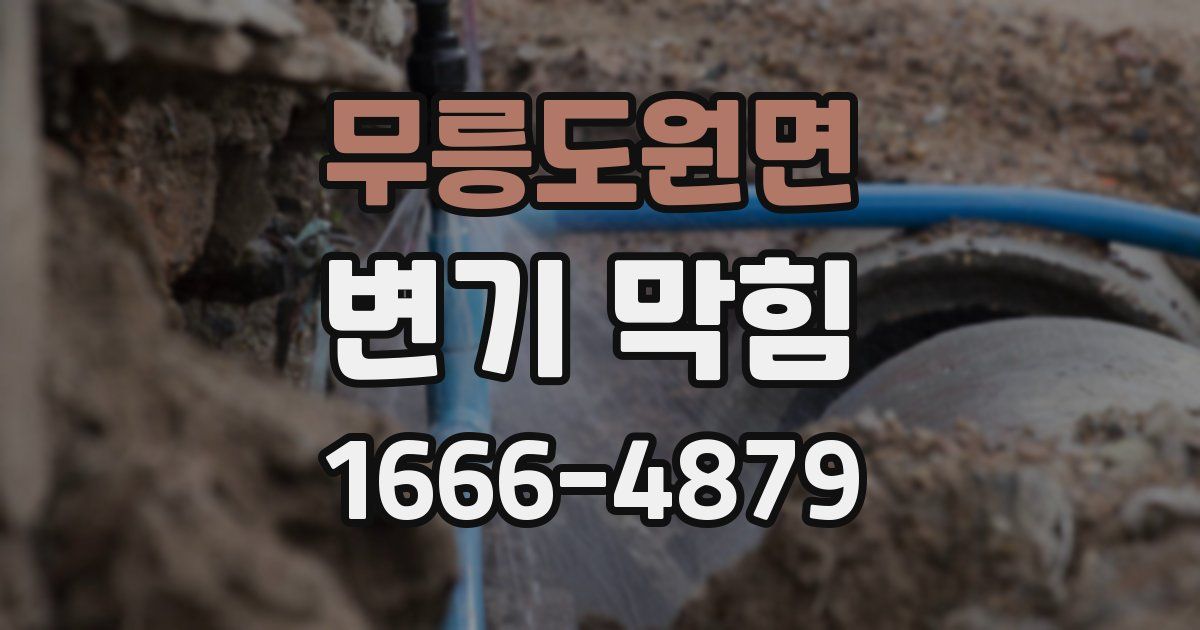 무릉도원면 변기 막힘