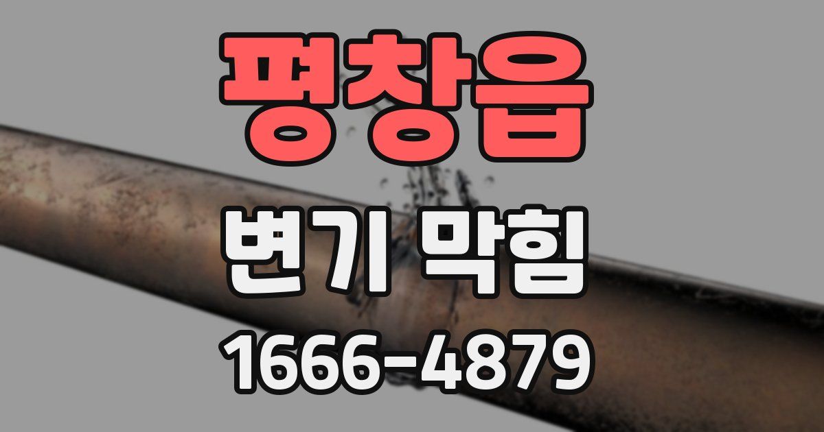 평창읍 변기 막힘