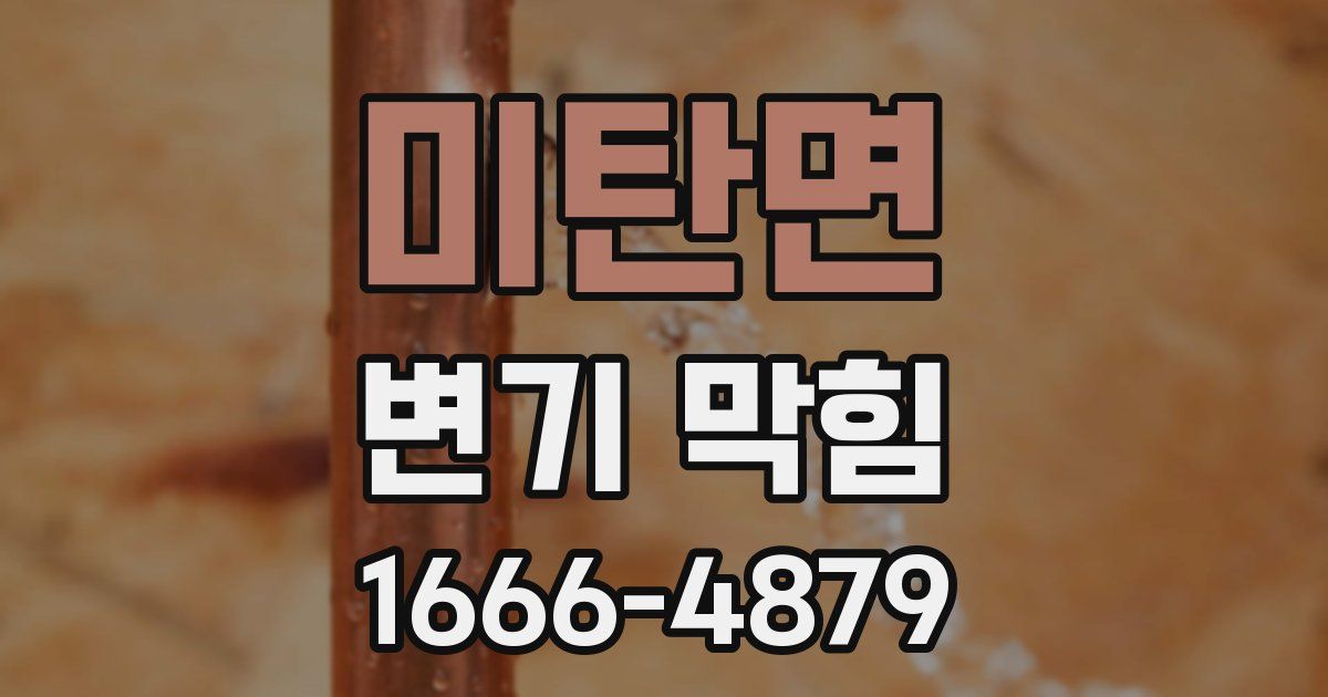 미탄면 변기 막힘