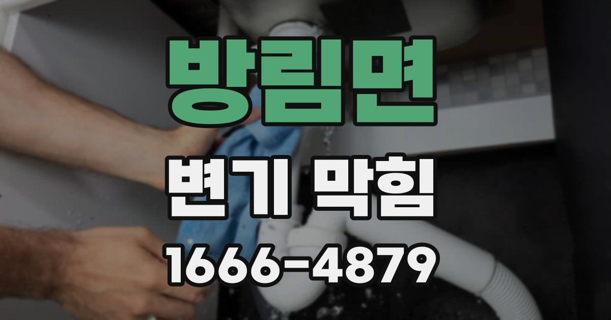 방림면 변기 막힘