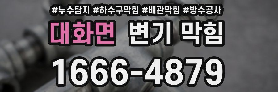 대화면 변기 막힘