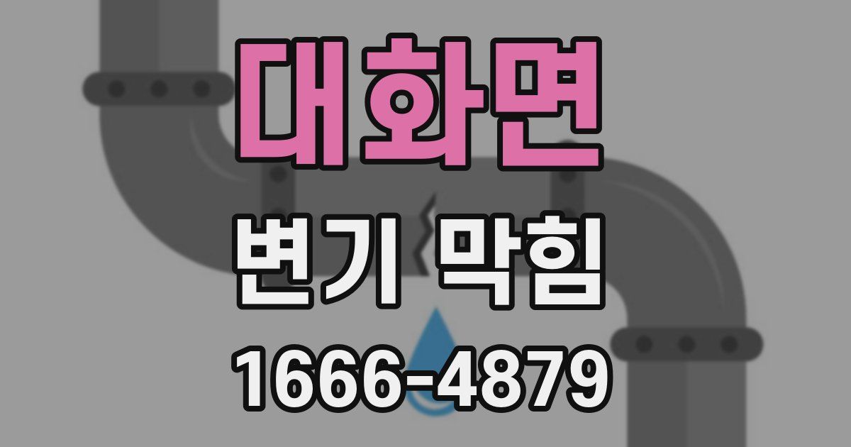 대화면 변기 막힘