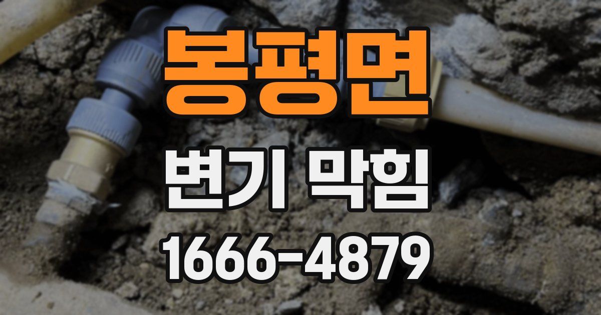 봉평면 변기 막힘