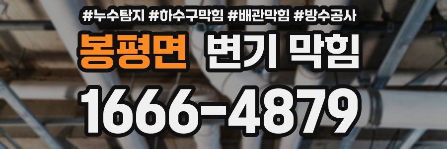 봉평면 변기 막힘