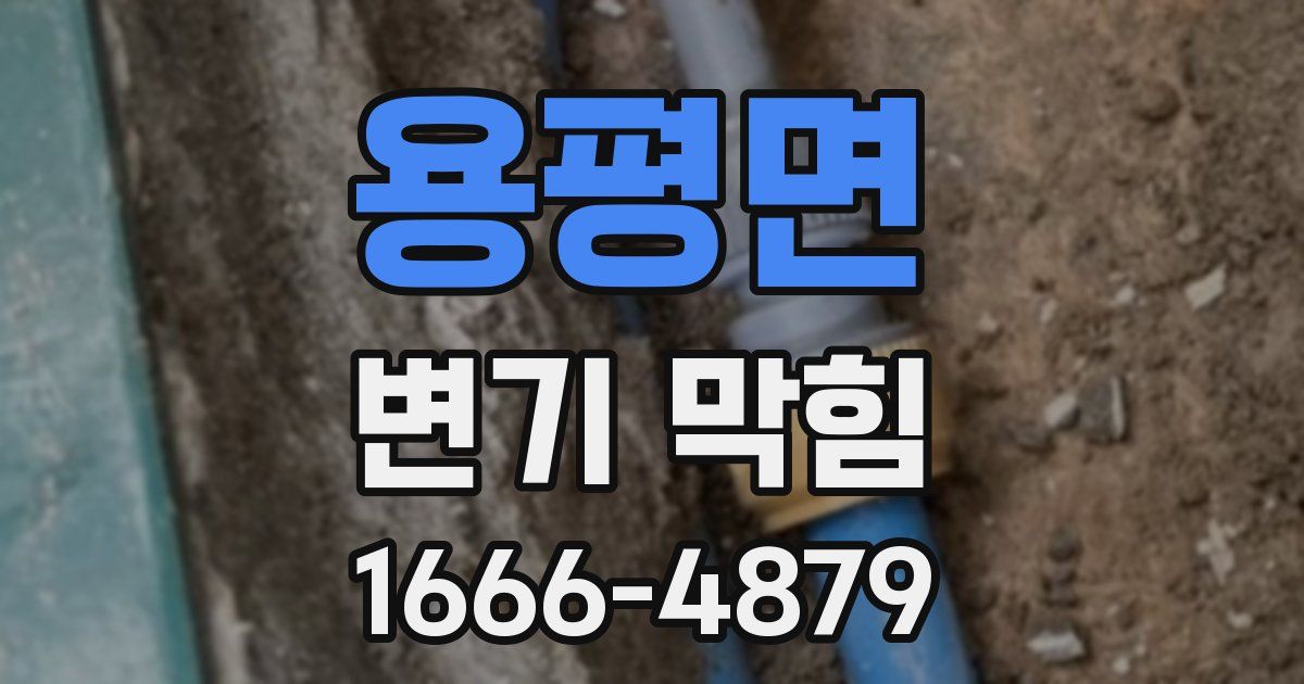 용평면 변기 막힘