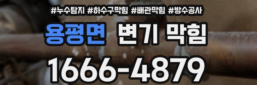 용평면 변기 막힘
