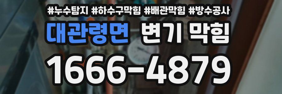대관령면 변기 막힘