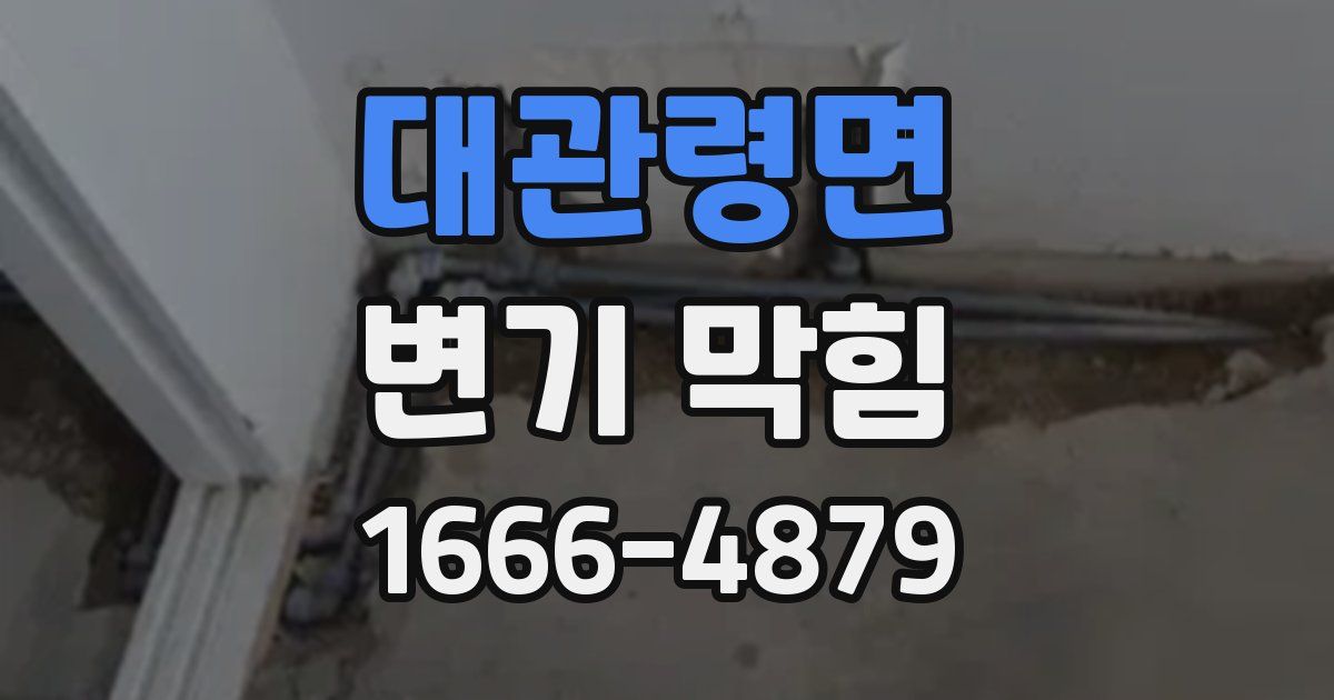 대관령면 변기 막힘