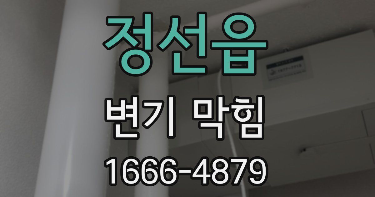 정선읍 변기 막힘