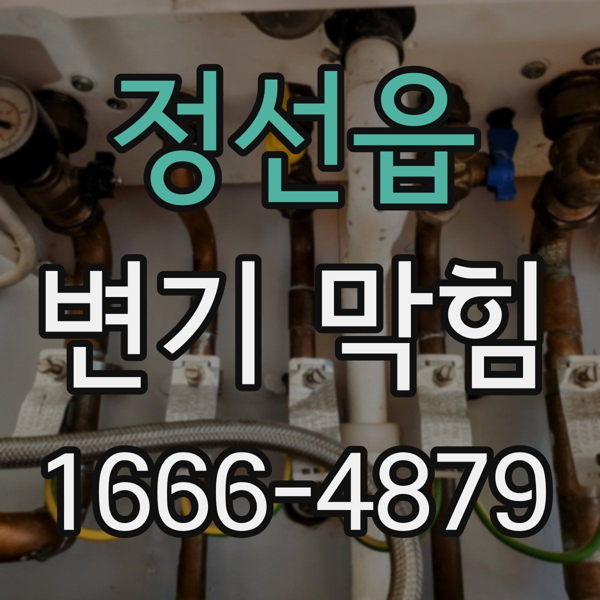 정선읍 변기 막힘