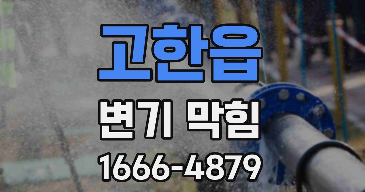 고한읍 변기 막힘