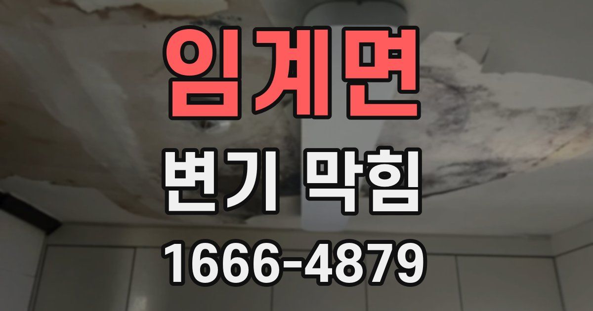 임계면 변기 막힘