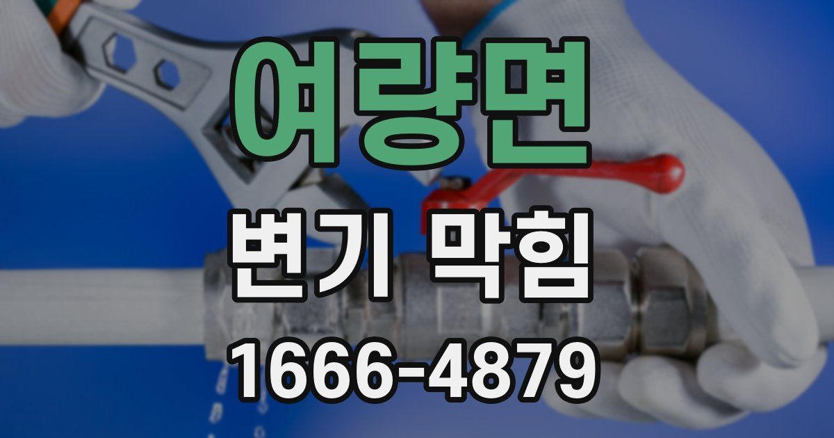 여량면 변기 막힘