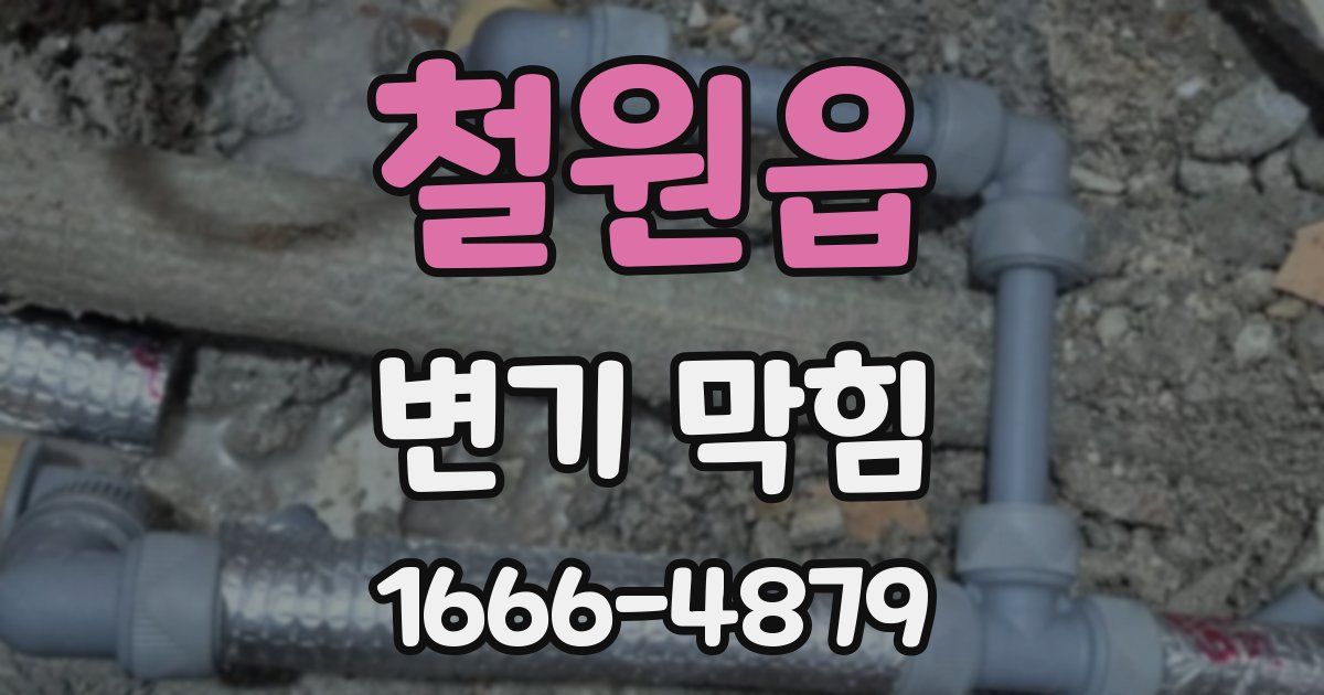 철원읍 변기 막힘