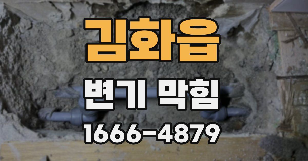 김화읍 변기 막힘