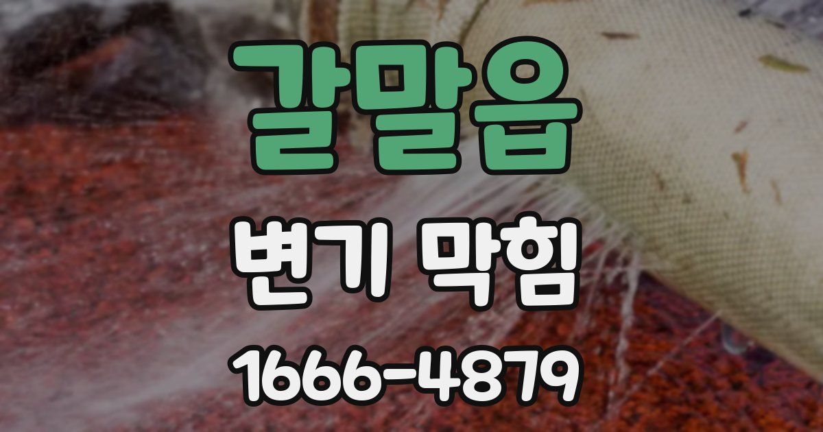 갈말읍 변기 막힘