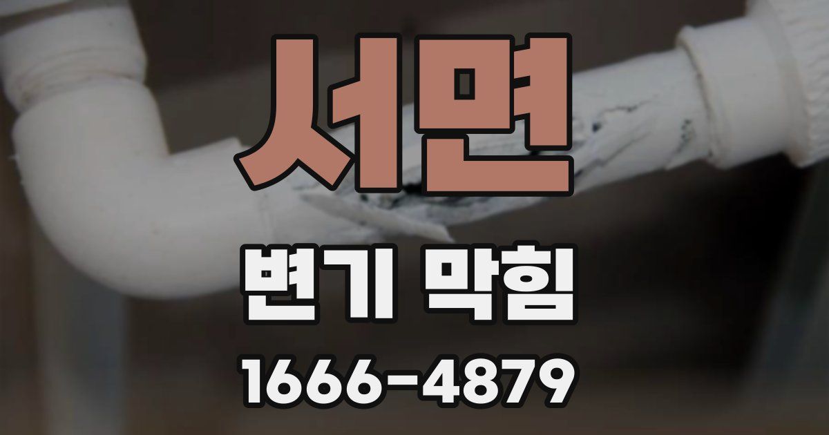 서면 변기 막힘