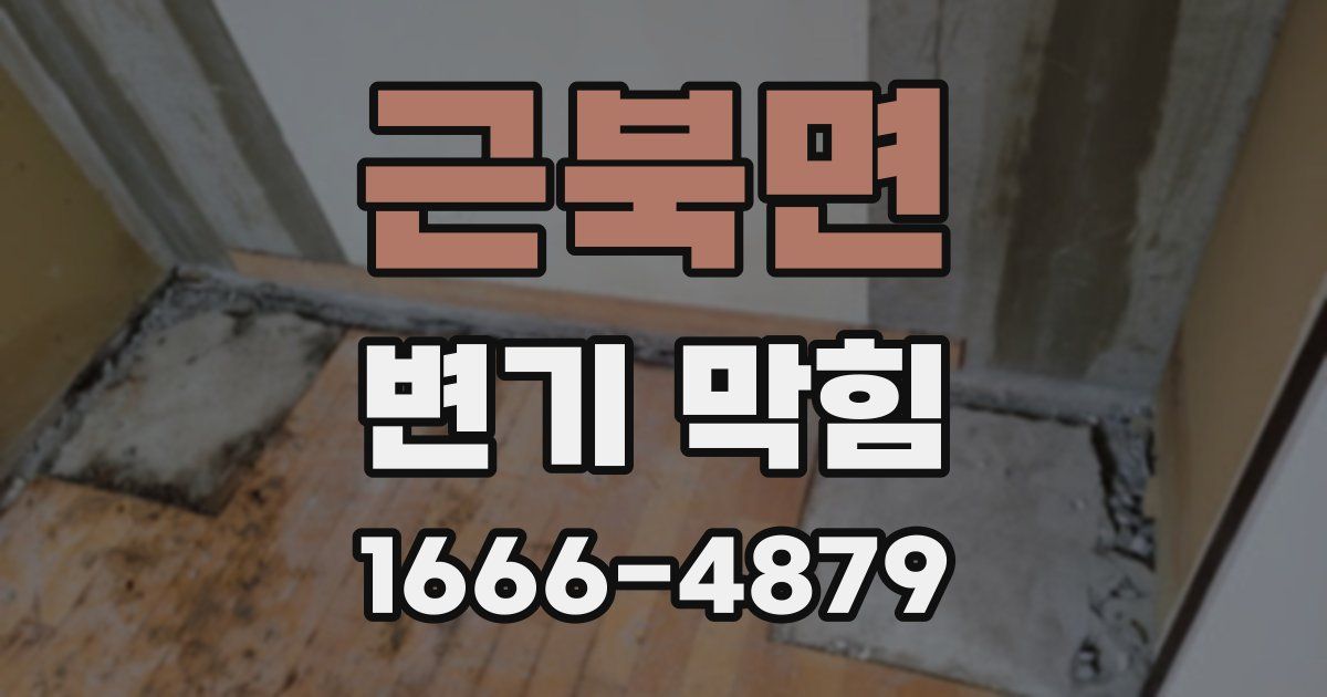 근북면 변기 막힘